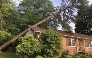 tree falling on house