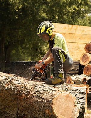 tree cutting in greenville, sc